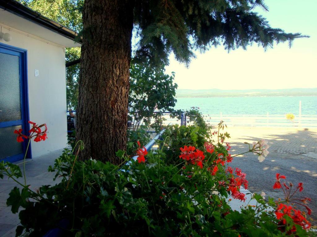Комплекс Белите Къщи Shtarkelovo Gnezdo Exterior photo